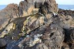 Sentier côtier de Buenavista del Norte | Buenavista del Norte, Sendero de Las Salinas. | Explorez Tenerife avec Gaiatours : une expérience inoubliable sur l'île