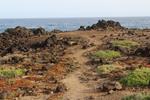 Sentier côtier de Buenavista del Norte | Buenavista del Norte, Sendero de Las Salinas. | Explorez Tenerife avec Gaiatours : une expérience inoubliable sur l'île