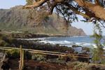 Sentier côtier de Buenavista del Norte | Buenavista del Norte, Sendero de Las Salinas. | Explorez Tenerife avec Gaiatours : une expérience inoubliable sur l'île