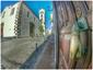 GARACHICO, HISTORIA Y VOLCÁN | 16 | Explora Tenerife con Gaiatours: Una Experiencia Inolvidable en la Isla