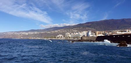 Avistamiento de Fauna en Tenerife con Gaiatours: Descubre las Maravillas Naturales de la Isla | Explora Tenerife con Gaiatours: Una Experiencia Inolvidable en la Isla