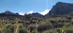  Descubre la Ruta del Suroeste del Parque Nacional del Teide 