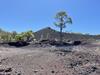 MONTAG: HISTORISCHE VULKANE, DIE ERDE BEBT | VOLCANES HISTÓRICOS, LA TIERRA SE MUEVE | Entdecken Sie Teneriffa mit Gaiatours: Ein unvergessliches Erlebnis auf der Insel