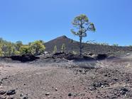 HISTORIC VOLCANOES | VOLCANES HISTÓRICOS, LA TIERRA SE MUEVE | Explore Tenerife with Gaiatours: An Unforgettable Experience on the Island