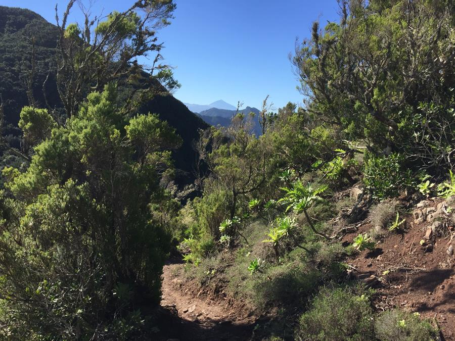 Anaga, Reserva de la Biosfera